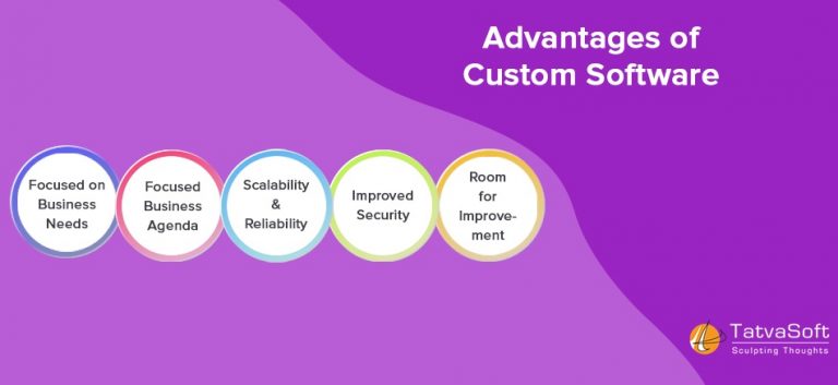 Benefits Of Custom Software Development   TatvaSoft Blog