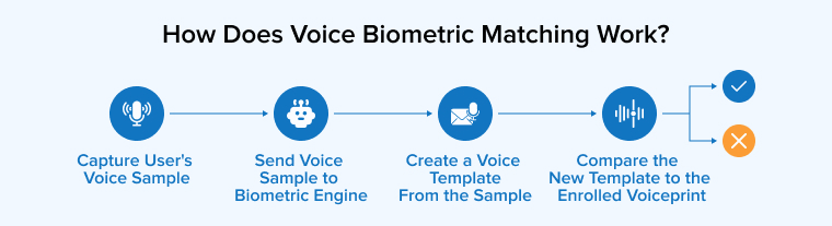 How does Voice Biometric matching work?