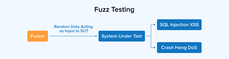 Fuzz Testing