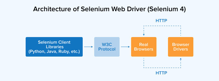 Architecture of Selenium Web Driver (Selenium 4)